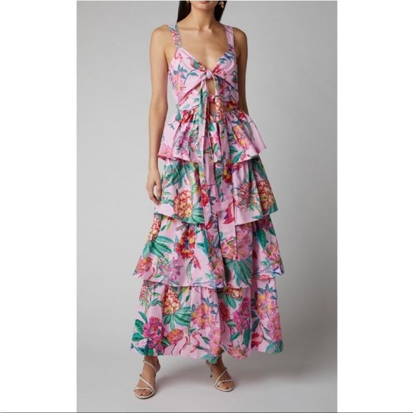 Banjanan Dresses & Skirts - Banjanan Aster Cotton Poplin Dress Tiered Maxi Floral S Pink